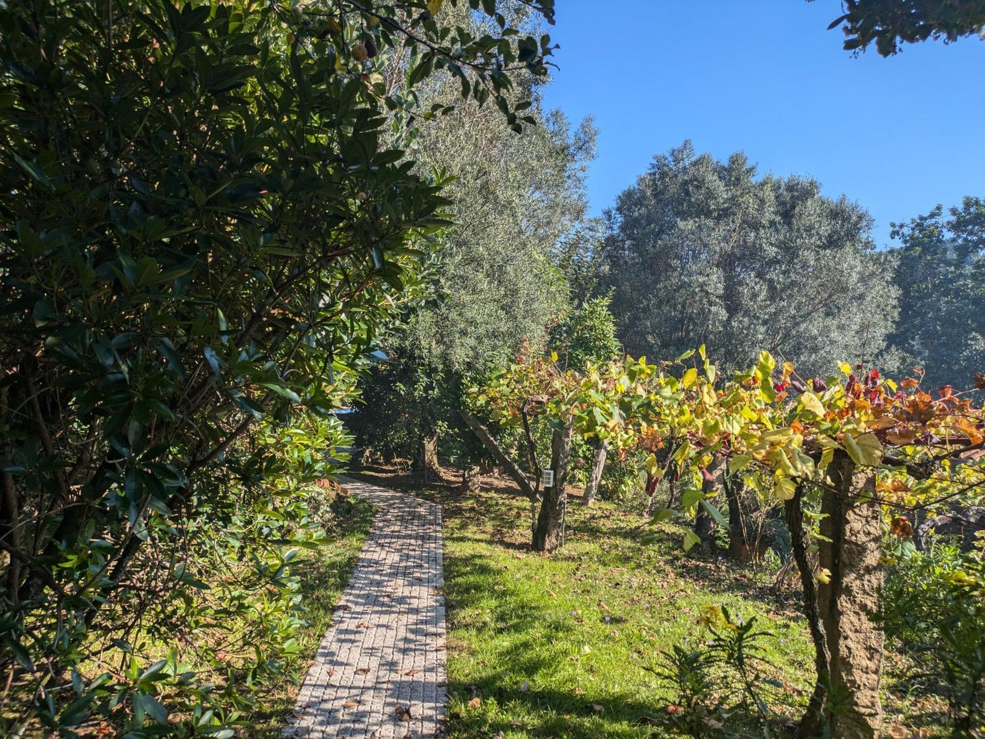 Casa Do Valo Villa Amonde Bagian luar foto